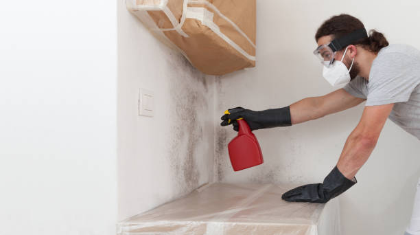Professional Bathroom Mold Removal technician working in Oceanport, NJ